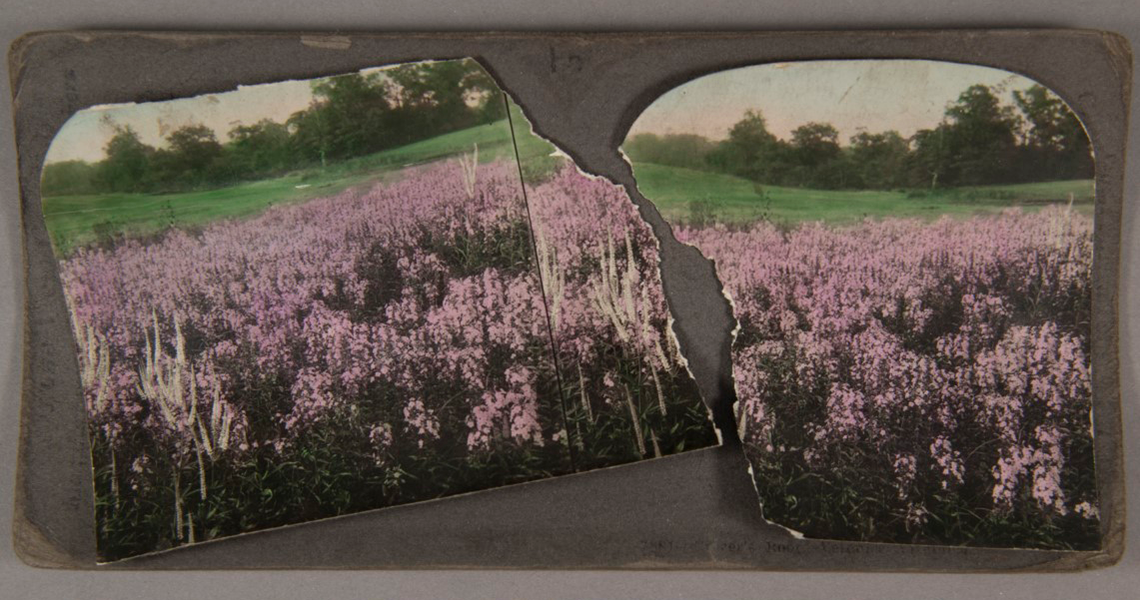 torn stereoview